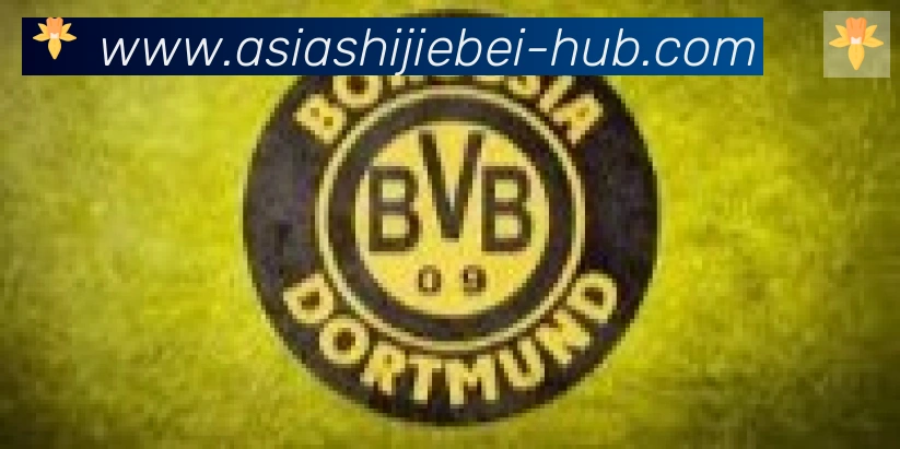 FIFA世界杯买球官方网站合作伙伴